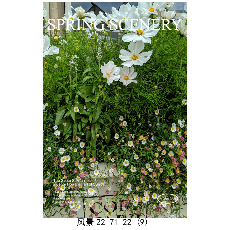 5 / 13*18cm (toile seulement)