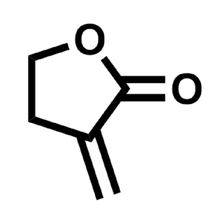 α-亚甲基-γ-丁内酯  CAS:547-65-9  98%  现货供应  价格详询