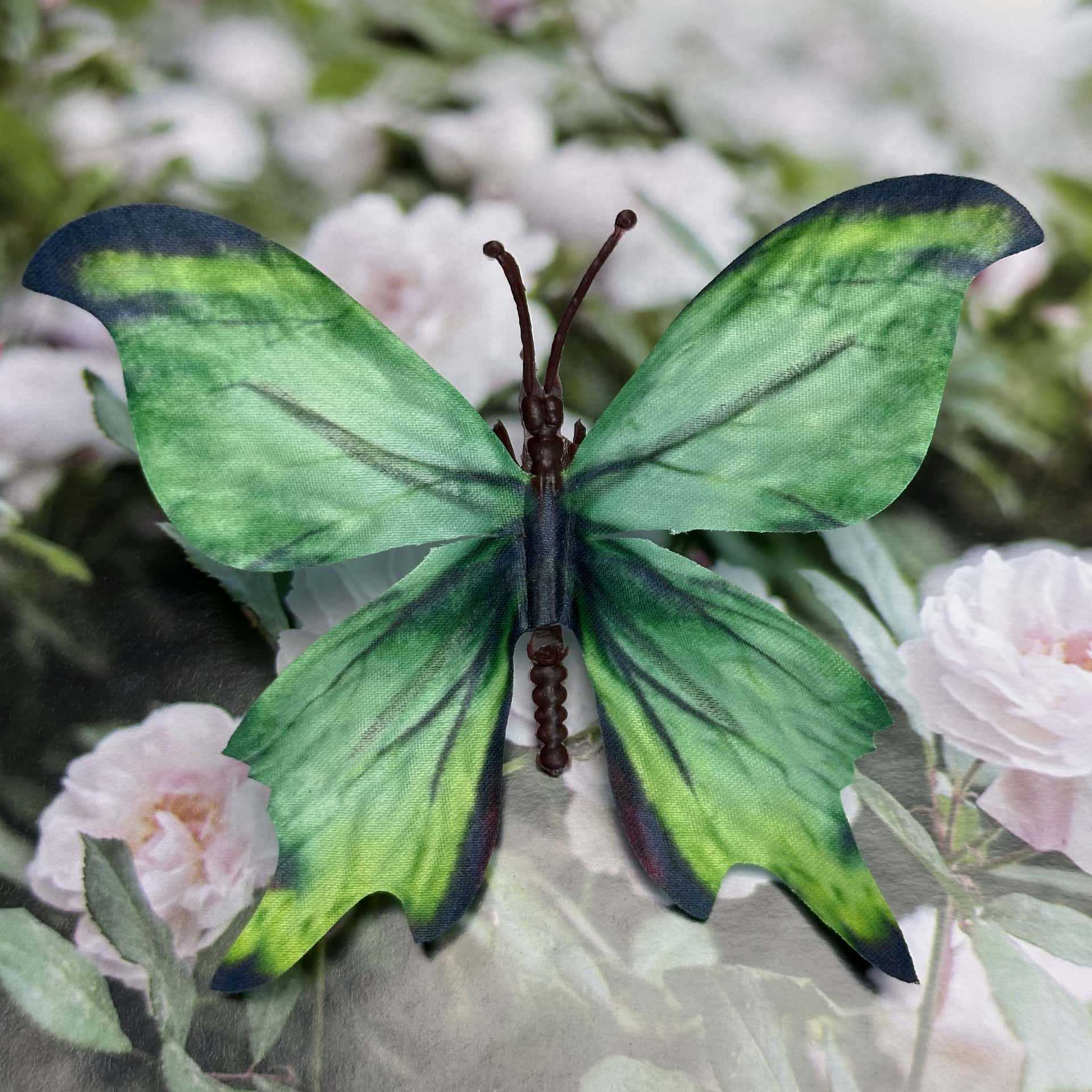 Seda 11CM color mariposa talla grande 26