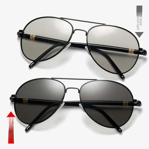 Polarized 209 Sunglasses with Photochromic Lenses, Day and Night Use, Frog Eyeglasses for Driving, Wholesale