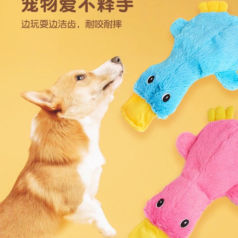 보컬 애완 동물 장난감 개 코튼 로프 몰라 물린 저항 장난감 매듭 개 장난감 보컬 대화 형 애완 동물 용품