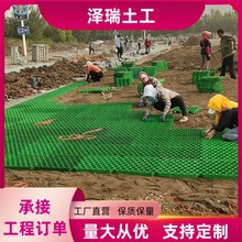 HDPE塑料植草格小区停车场位草坪格园林护坡消防通道绿化植草格砖