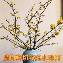 �D÷���r��ˮ�B�r�л���֦Ϟ÷�r����������ˮ��ֲ�ﻨ���͏d�[�O