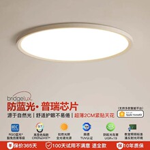 极简普瑞全光谱护眼卧室吸顶灯儿童房书房超薄圆形智能中山灯具