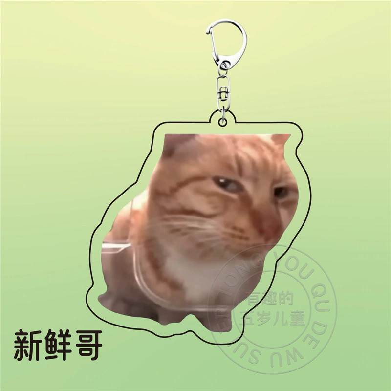 Acrylic cute keychain, backpack, pack, pendant for friend