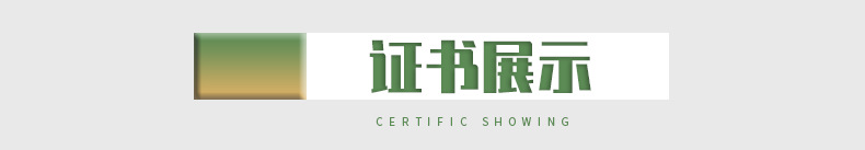 Cross-border hot-selling flashlight bulb P13.5S led bulb 3W plug lamp E10 bright small bulb 3V6V12V