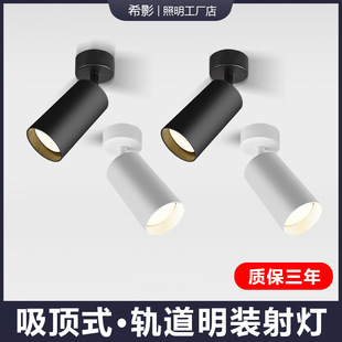 Light Mounting Spotlight Adjustable Angle Household Small Ceiling Track Light Astigmatic Commercial Spotlight LED Ceiling Light Downlight