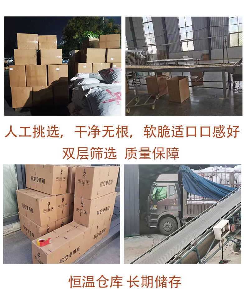 鸡枞菌详情页_06.jpg