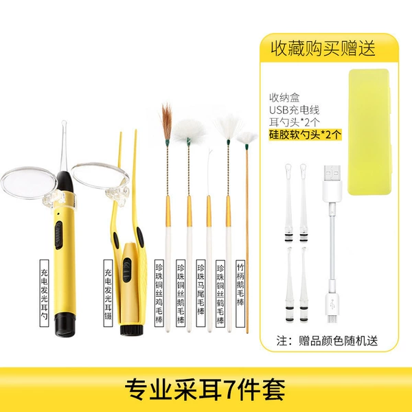 7 pieces of professional ears