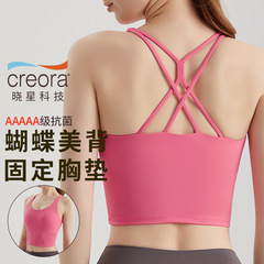 Women's High-Intensity Sports Bra Running Fitness Shock-Absorbing One-Piece Cupless Strappy Sports Backless Top