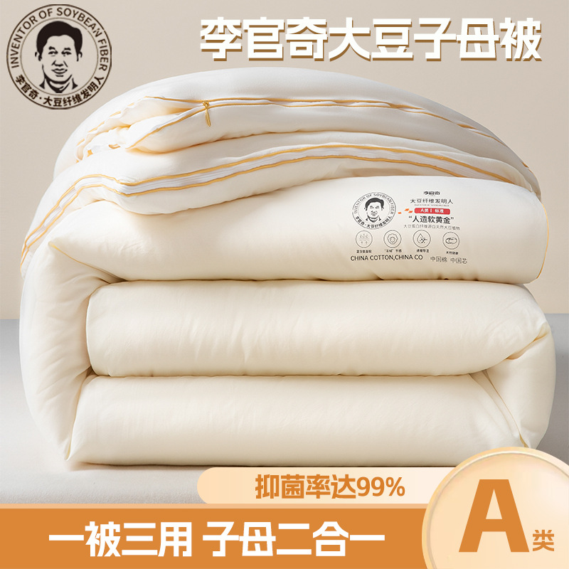Class a Li Guanqi Soy Fiber Quilt Spring & Fall Quilt Thickeneded Winter Quilt Student Dormitory Quilt Core Two-In-One Quilt