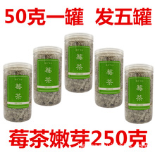 藤茶张家界莓茶嫩芽莓茶莓茶芽尖藤莓茶非散装125g