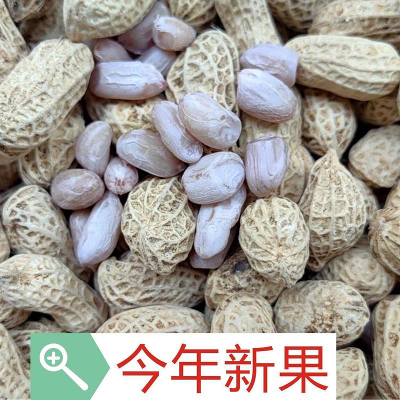 塩漬け乾燥茹で落花生、天日干しオリジナル白天日塩味、殻付き天日干し、広龍岩落花生スナック|undefined