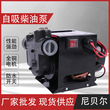 自吸式12伏24伏油泵550w液压油泵电动直流油加油泵机增压泵高扬程