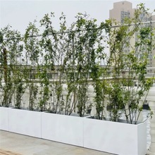 ̖LRˮ໨V໨GֲڸNֲڰ