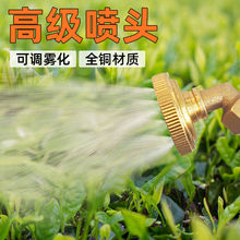 늄ӇFrșșC8~^āFrø߉~^