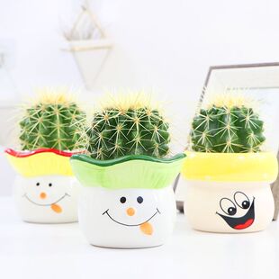 �������_��ֲ�ﻨ�������k���҃�����p���������ƶ����С�辰��