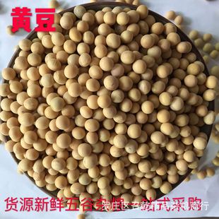 �F؛���l�r���Ԯa�|���� �I�B�S�����{����Ʒե��ԭ���S��