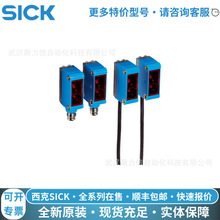 F؛1052450 GSE6-P4112˹늂SICK_Pȫԭb