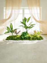 ����Gֲ�쾰�M�ϲ����҃��b����������̦�\΢���^�پGֲ����