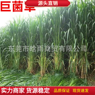 �����ظ߮a�޾��ݷN�Ӷ������߮a���ݷN������ݻ���ݷN�Ӱ��]