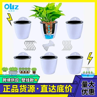 厂家现货 亚马逊K跨境专供款悬挂自吸水塑料懒人壁挂小号花盆批发