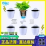 小号跨境吸水悬挂花盆