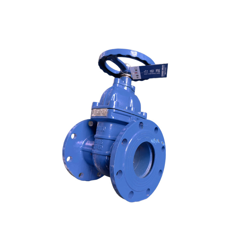 Z41X-10Q 明杆软密封闸阀 QT450球墨铸铁弹性座封法兰闸阀