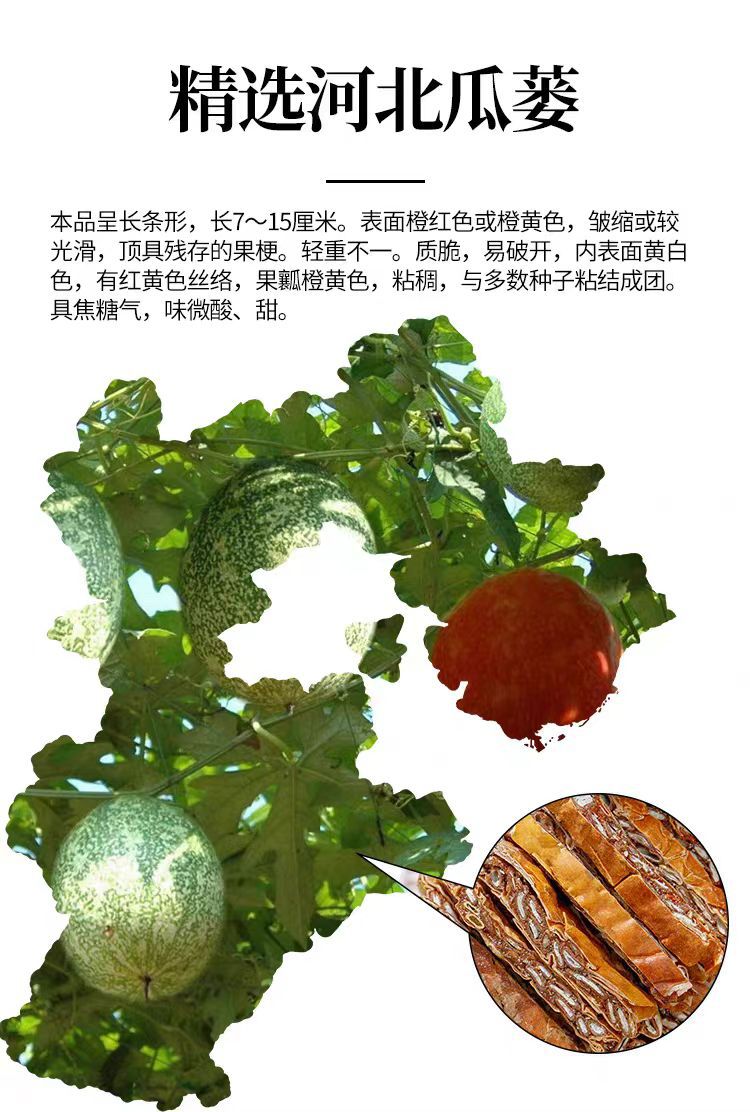 Gua Lou (Trichosanthes kirilowii) Whole Fruit — Dried Food-Herb for Tea & Soup overview