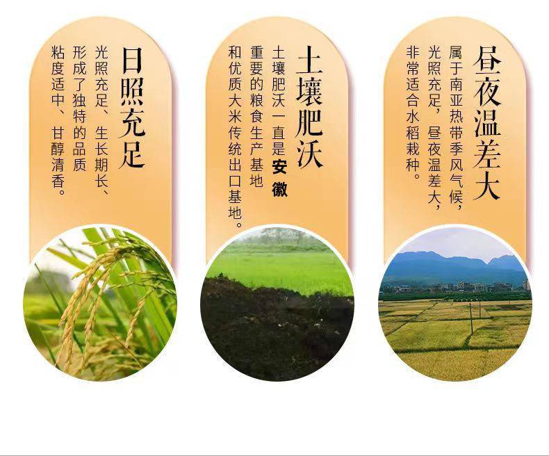 994d9189-62ed-4d89-9fa5-cdd93f9798a5.jpe