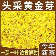 正宗黄金芽茶叶2026新茶白茶高山茶大份量精品嫩芽黄茶送礼