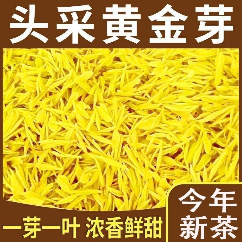 Authentic Golden Bud Tea 2026 New Tea White Tea High Mountain Tea Large Quantity Premium Tender Bud Yellow Tea Gift