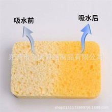 �h����ɰ���pľ�{���d �ɴu���p�坍���d �մ������坍�w�S�غ��d