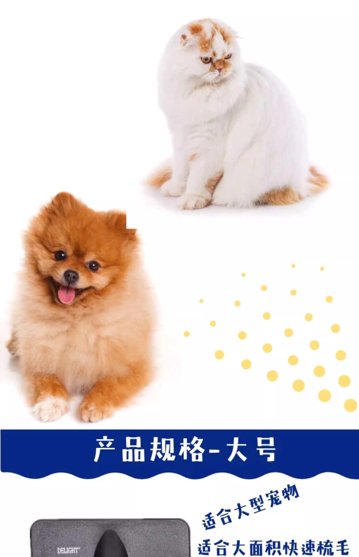 详情08.jpg