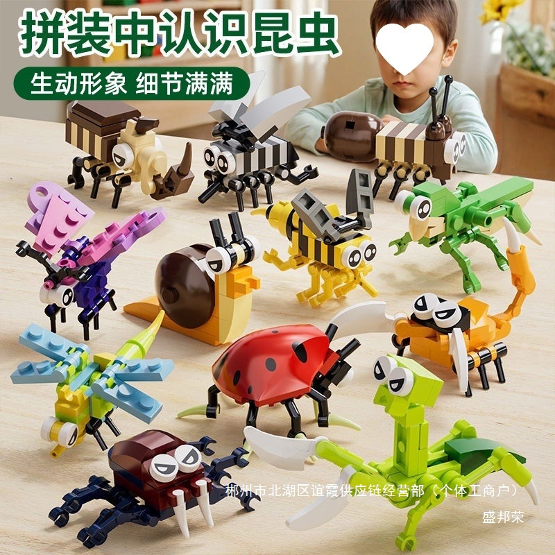 Factory Direct Sales New Building Blocks Primary School Students Toys Children's Force Assembled Particles Insect World Boys
