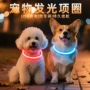 充电发亮发光夜光狗圈