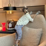 意大利小灵缇犬衣服 秋冬保暖惠比特贝灵顿纯棉打底大狗小鹿犬厚