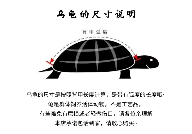 默认标题__2022-09-13+17_42_53