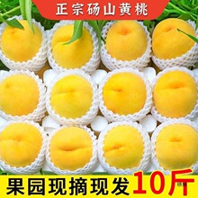 锦绣黄桃纯甜大黄桃新鲜水果桃子水蜜桃脆甜毛桃一整箱