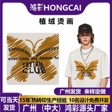 彩色植绒印花烫画衣服热转印绒面蝴蝶烫印贴纸字母logo服装批发