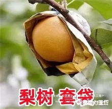 ���Ӵ��״����^������Ã��S�����B�S���������S���Sˮ������ɫ