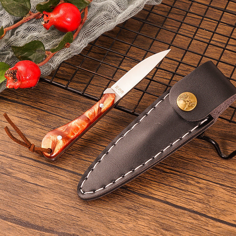 Cuchillo de frutas doméstico portátil transfronterizo cuchillo al aire libre cuchillo de acero inoxidable cuchillo de cocina al por mayor