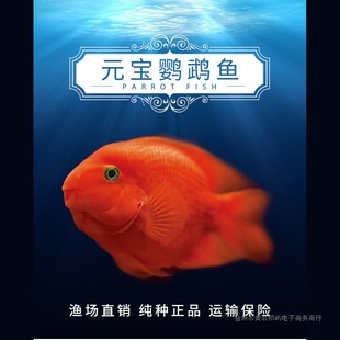 �t�W�^�~���~�Ꭷ�^�p�~Ԫ���W�^�~�lؔ�~ؔ���W�^�~���^Ѫ�W�^�~