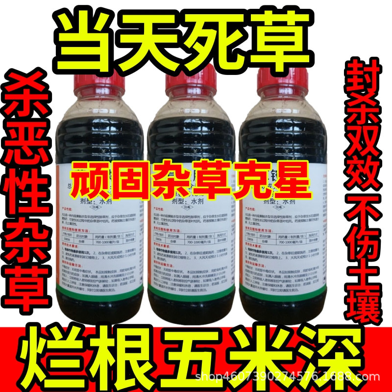 当天死草精草铵膦铵盐除草草安草铵磷草胺磷除牛筋草小飞蓬农药强