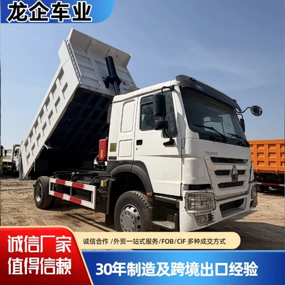 Export of China Heavy Duty Truck HOWO 4X2 small construction waste transport dump truck, customizable (Yük maşınları)