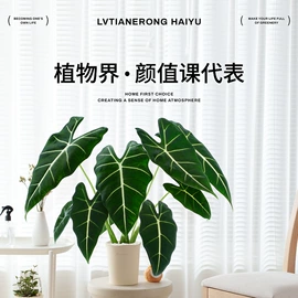 盆栽;其他园林资材;栽培基质