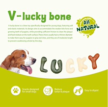 QNOEMSӹﹷʳĸҧĥSֱN