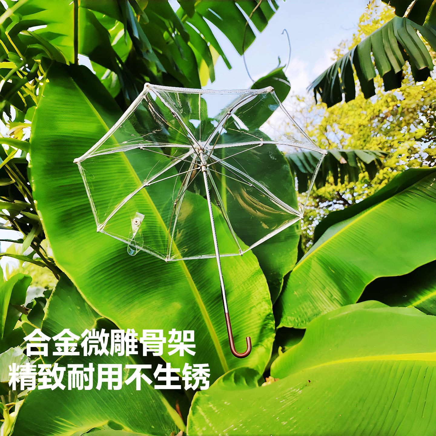 bjdɡ�������4��͸���������Сɡ΢�������ɿ�����ż���յ���