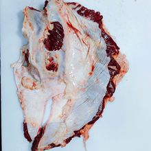 国产清真排酸肥牛系列牛罗肌肉胸隔膜肉中餐食材批烤肉黄牛肉纯肉