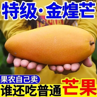 ���Ͻ��â�������r9���â������ˮ�����Sˮ��â������â��â